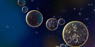 Ile kosztuje wymiana oleju fiat 500?