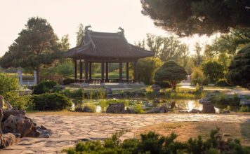 Czy Iga odebrała porsche?