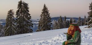 Jakie auto dostała Świątek?