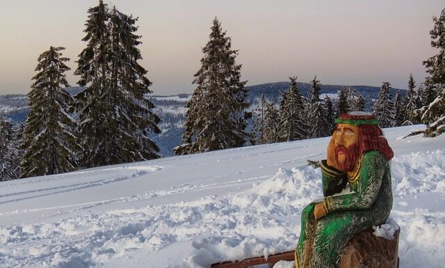 Jakie auto dostała Świątek?