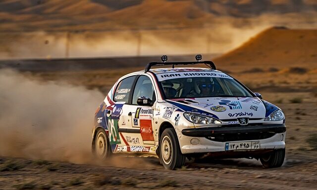 Jaki silnik do Peugeota 206?