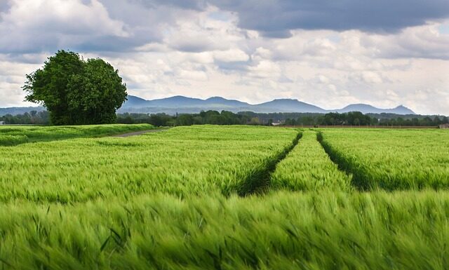 Ile kosztuje wymiana kół bez wyważania?
