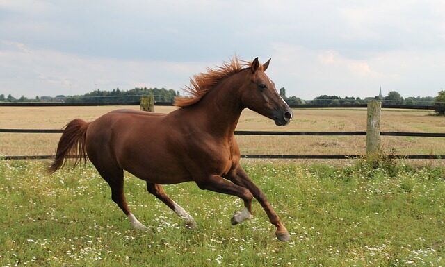 Jaki jest najszybszy Mercedes na świecie? Jaki jest najszybszy Mercedes na świecie?