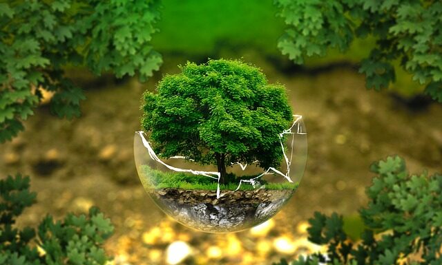 Jaki jest dobry amortyzator?