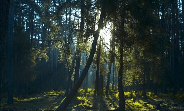 Jak zwiększyć prześwit w samochodzie?